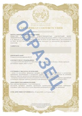 Образец Сертификат СТО 01.064.00220722.2-2020 Чапаевск Сертификат СТО 01.064.00220722.2-2020 