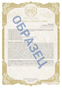 Образец Приложение к СТО 01.064.00220722.2-2020 Чапаевск Сертификат СТО 01.064.00220722.2-2020 